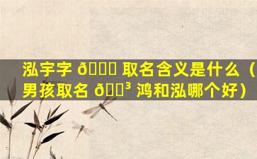 泓宇字 🐞 取名含义是什么（男孩取名 🌳 鸿和泓哪个好）